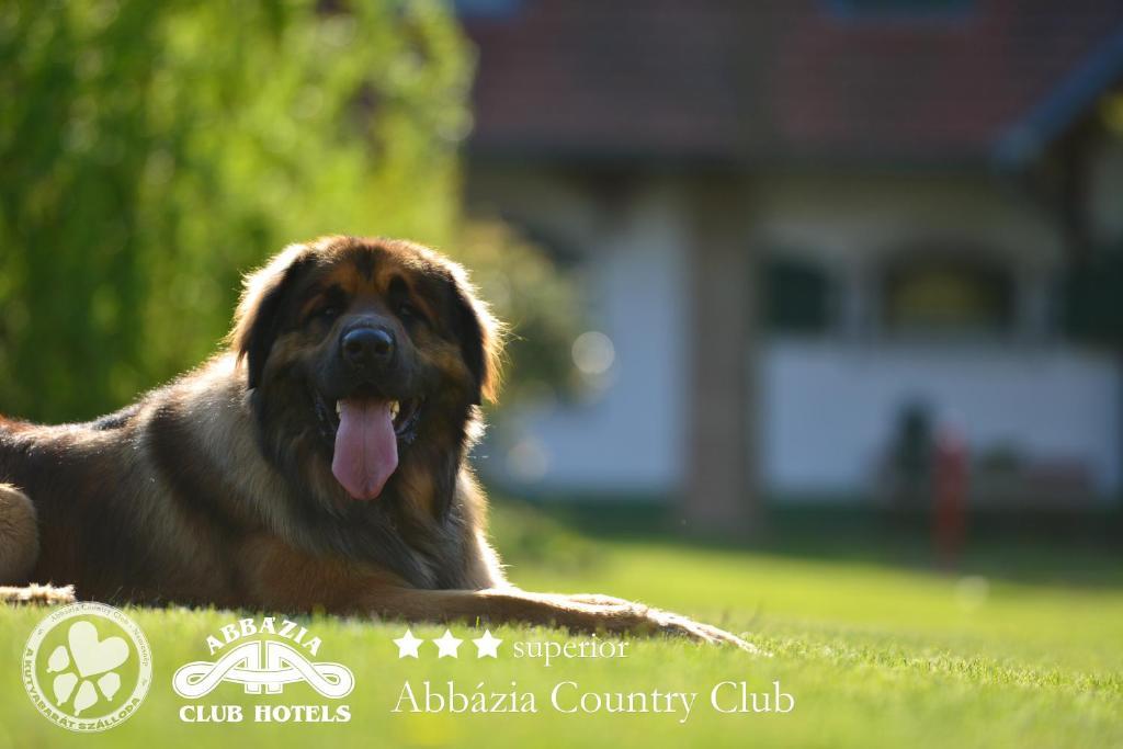 Abbazia Country Club Hotell Nemesnép Eksteriør bilde
